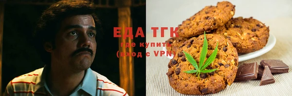 гидра Вязьма