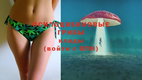 мдпв Вязники