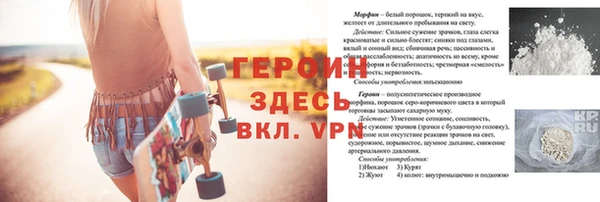 ПСИЛОЦИБИНОВЫЕ ГРИБЫ Вяземский
