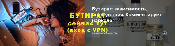 гидра Вязьма
