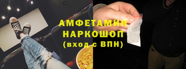 ПСИЛОЦИБИНОВЫЕ ГРИБЫ Вяземский