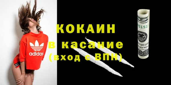 ПСИЛОЦИБИНОВЫЕ ГРИБЫ Вяземский