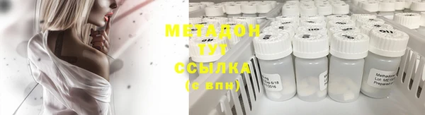 ПСИЛОЦИБИНОВЫЕ ГРИБЫ Вяземский
