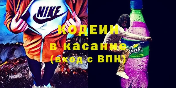 ПСИЛОЦИБИНОВЫЕ ГРИБЫ Вяземский