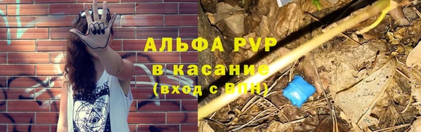 гидра Вязьма