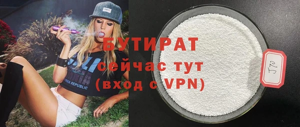 гидра Вязьма