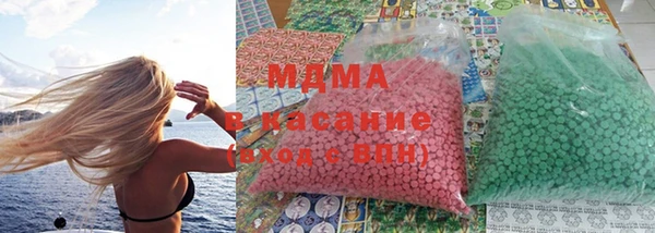 гидра Вязьма