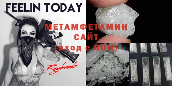 ПСИЛОЦИБИНОВЫЕ ГРИБЫ Вяземский
