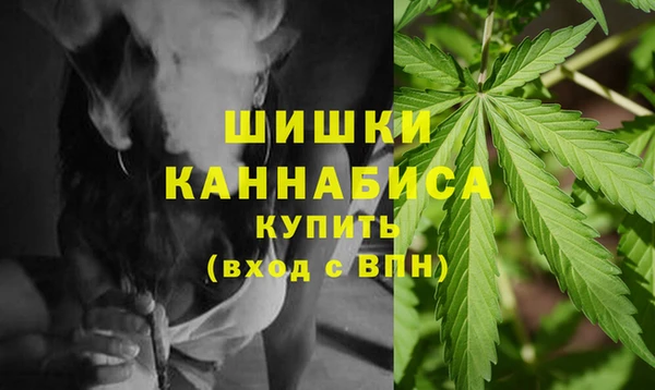 мдпв Вязники