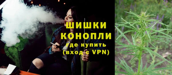 гидра Вязьма