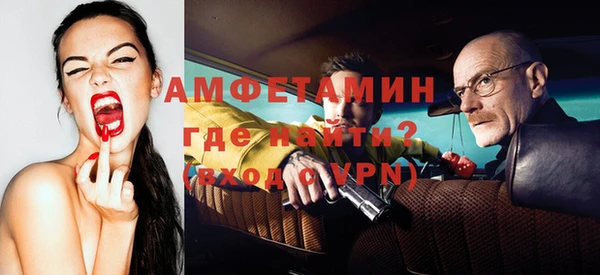 гидра Вязьма