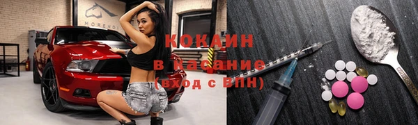 гидра Вязьма